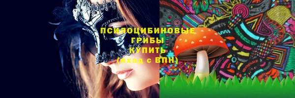 тгк Аркадак
